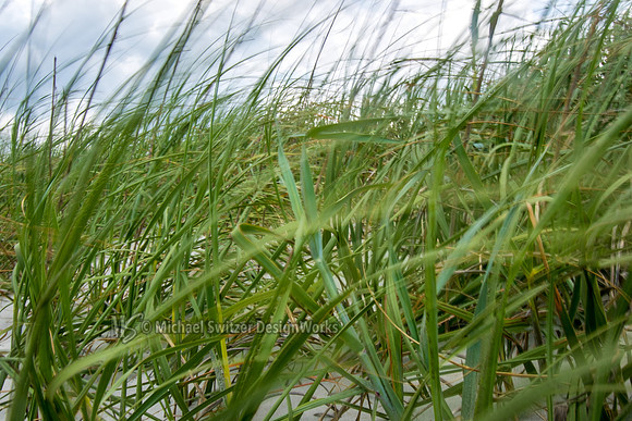 _70A5000-switz-beach15