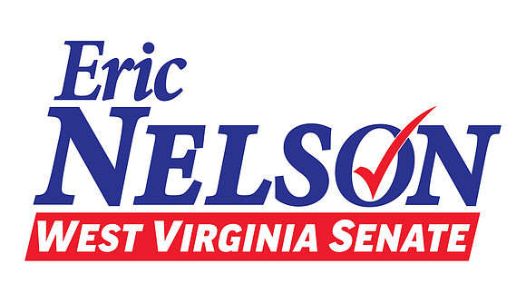 2019 Nelson Senate logo