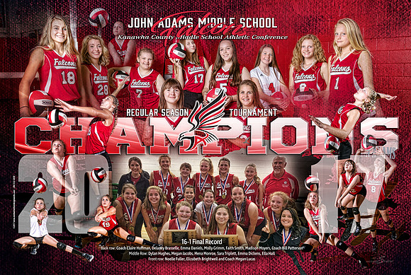 2017 JAMS VB Champs poster-PRINT
