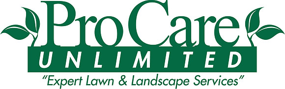 ProCare color logo
