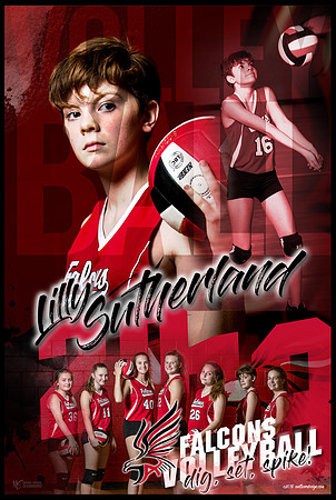 2018-12x18-JAVB posters-sutherland
