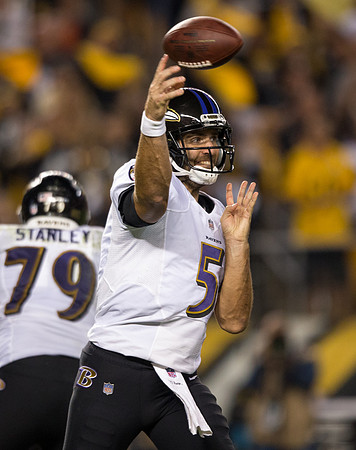 AL1Y2199-Steelers vs Ravens-flaco