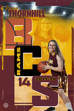 24x36-Switzer Design Banner-BCS